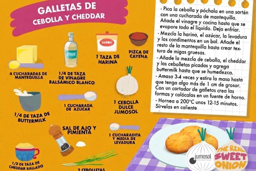 Lámina ilustrada de la receta de galletas de cebolla y cheddar con cebolla dulce Jumosol