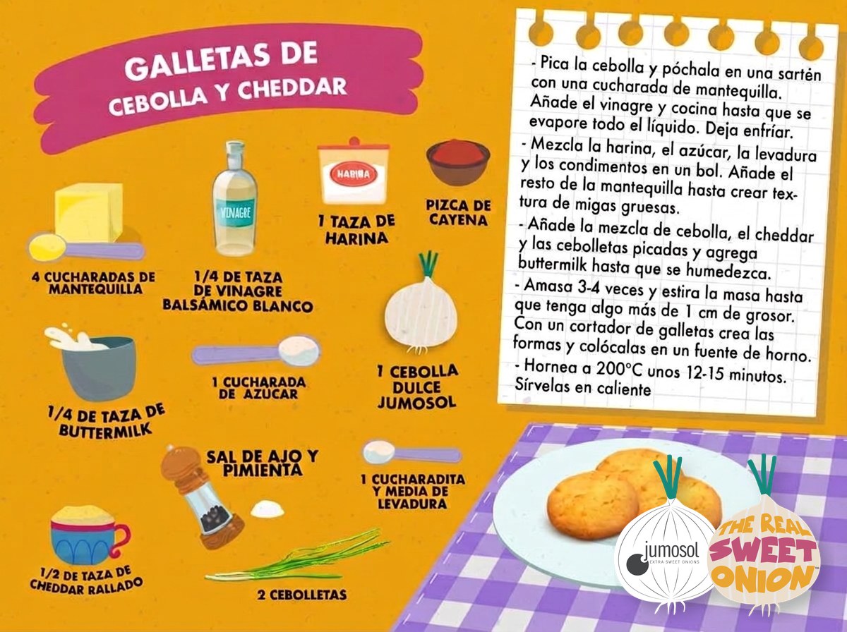 Galletas saladas de cebolla dulce y cheddar 1 Lámina ilustrada de la receta de galletas de cebolla y cheddar con cebolla dulce Jumosol