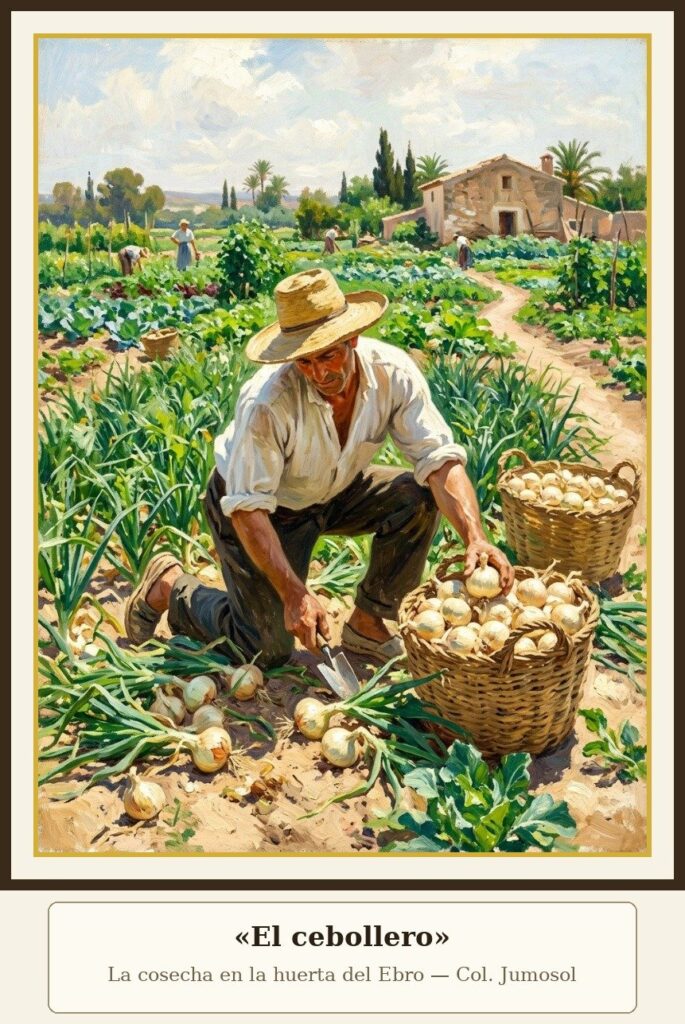 Cebolla dulce: la auténtica DOP Fuentes de Ebro 3 El cebollero: agricultor cosechando cebollas dulces a mano en la huerta del Ebro, óleo