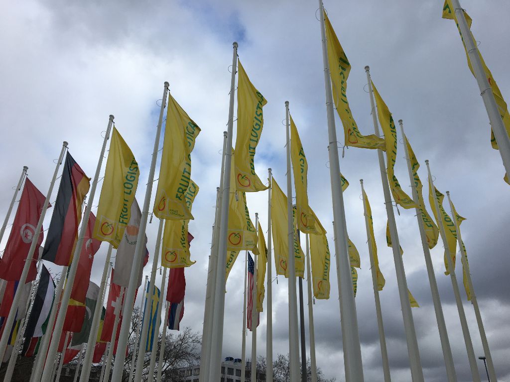 Jumosol en Fruit Logística Berlín: una cita anual desde 2003 2 Banderas de Fruit Logística y de países participantes ondeando a la entrada del recinto ferial de Berlín