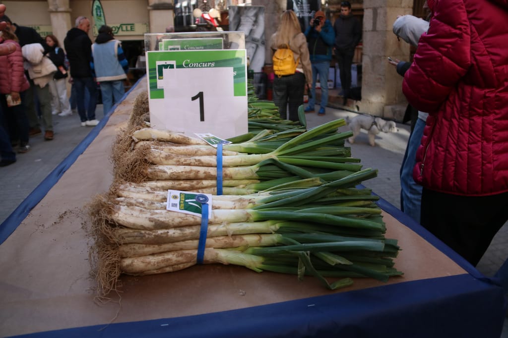 Calçots a la brasa