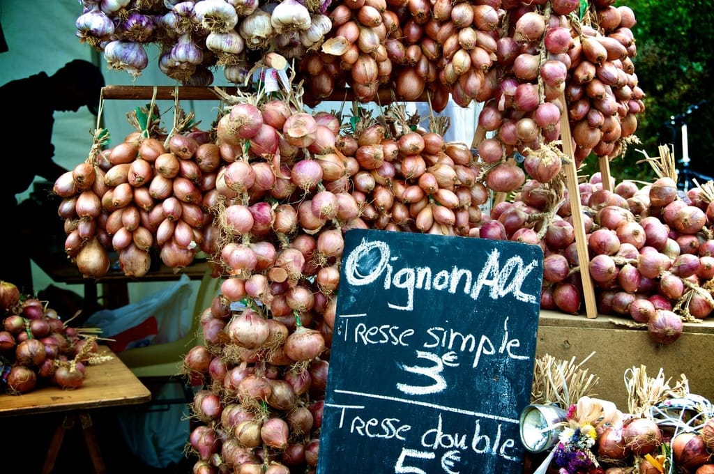 Cebolla de Roscoff (Francia)