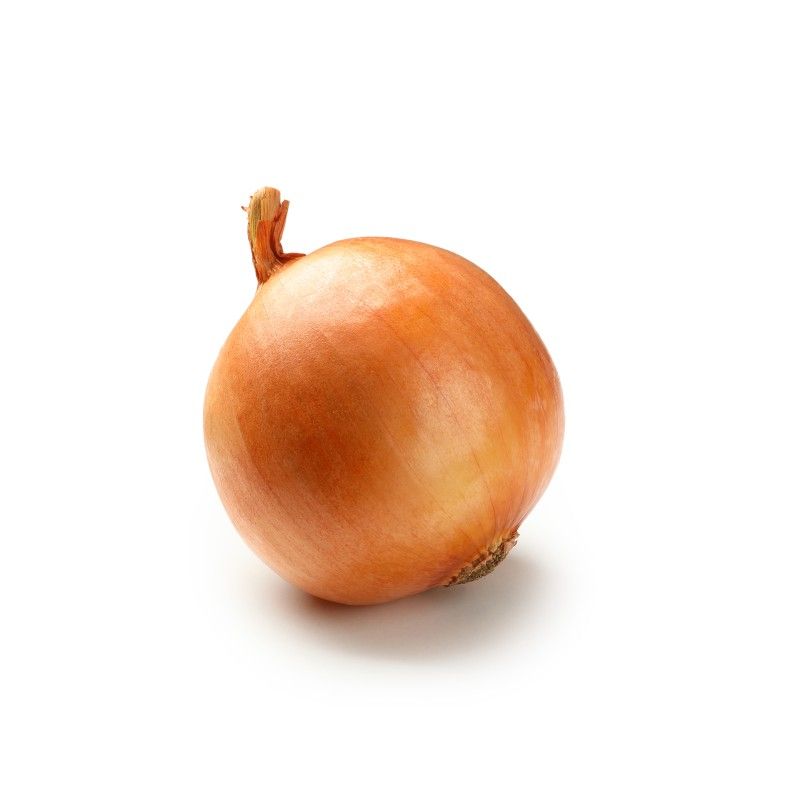 Cebolla de la variedad Recas, de piel dorada